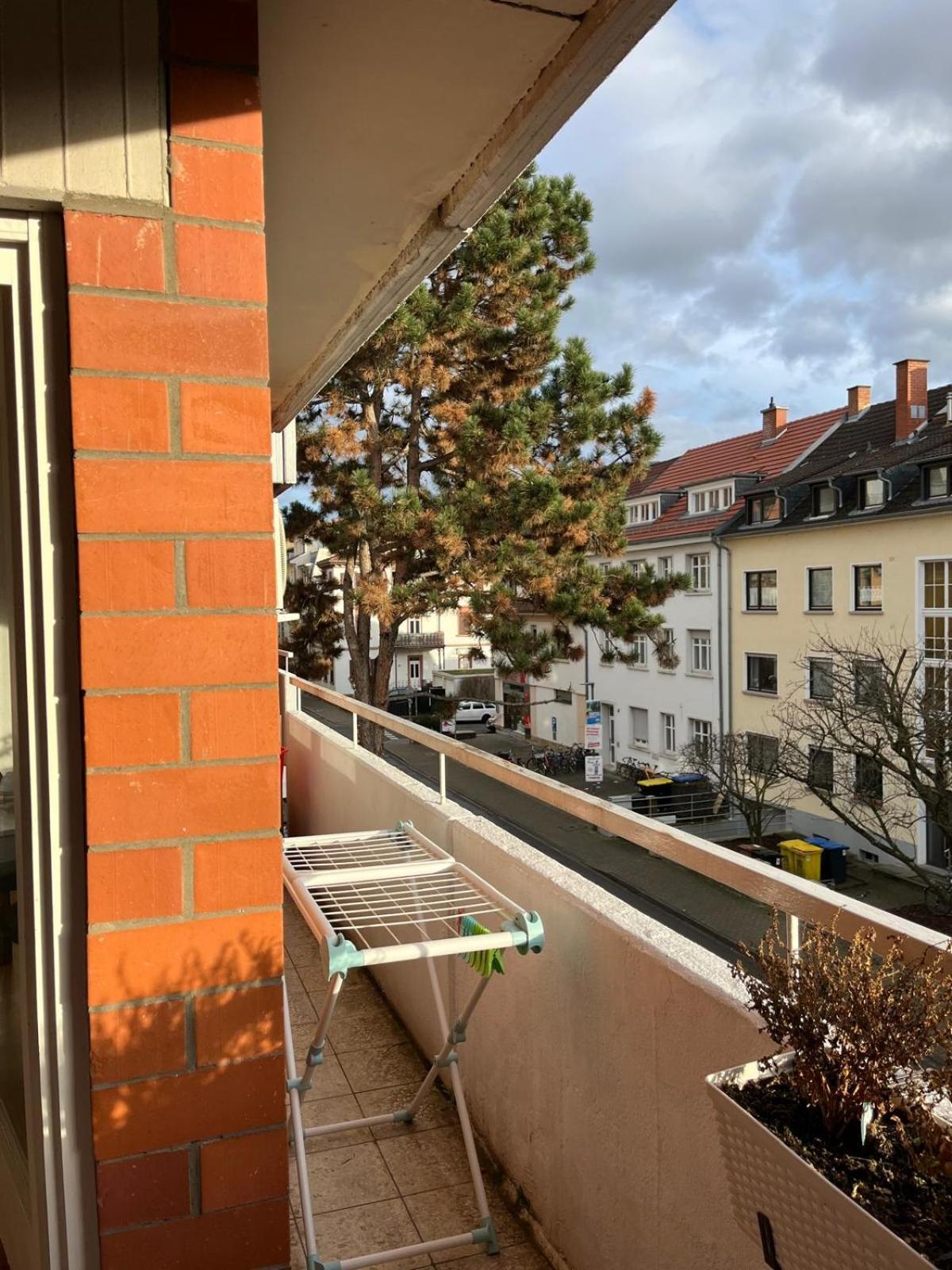 Wohnung Am Neckar Heidelberg Exterior photo